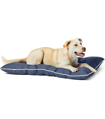 Coleman Large Dog Bed for Travel, Roll Up Foldable Packable Pet