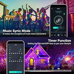 BTF-LIGHTING RGB IC WS2812B USB Twinkle Smart Fairy