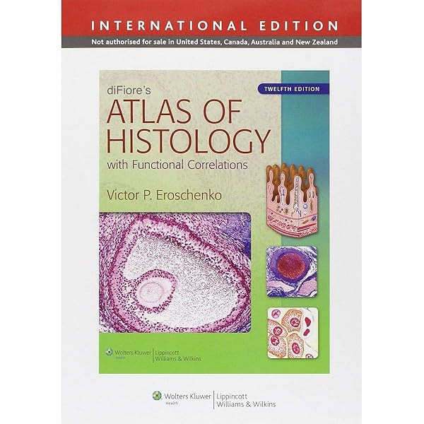健康・医学 An Atlas of Histology An Atlas of Histology: 9780387949543: Medicine & Health