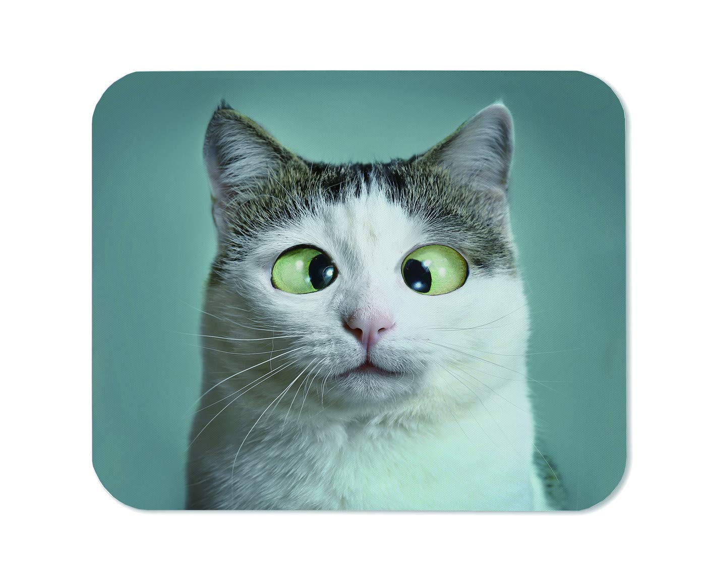 Yeuss Silly Cats Mouse mat pad Rectangular Non-Slip Mousepad, Funny Cat At Ophthalmologist Appointmet Squinting Close Up Portrait Gaming Mouse mat pads, White Gray Green,200mm x 240mm