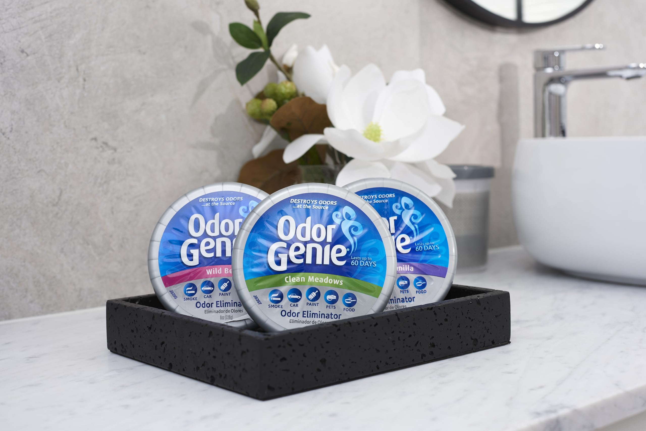 Odor Genie - Odor Eliminator with Wild Berry Fragrance - 8 oz, (FG69H)