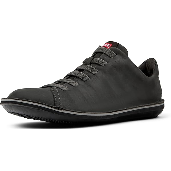 Caribou (Karibu) - Die Hirsche Des Nordens In Kanada