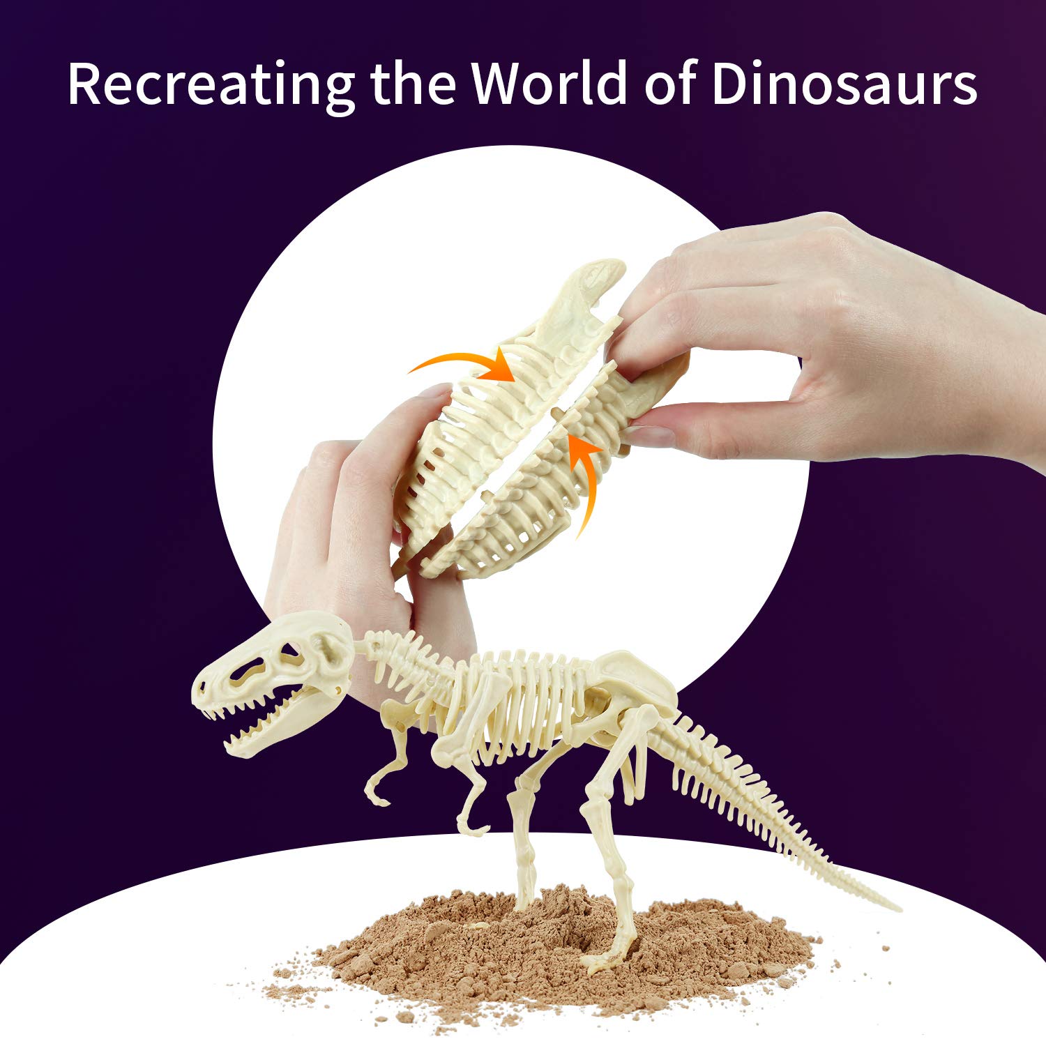 Mua Science Can Dinosaur Digging Fossil Kit for Kids, Dinosaur Bones ...