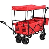 push pull wagon with canopy