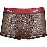 Evankin Sexy Underwear for Men Breathable Mesh Boxer Briefs Trunks