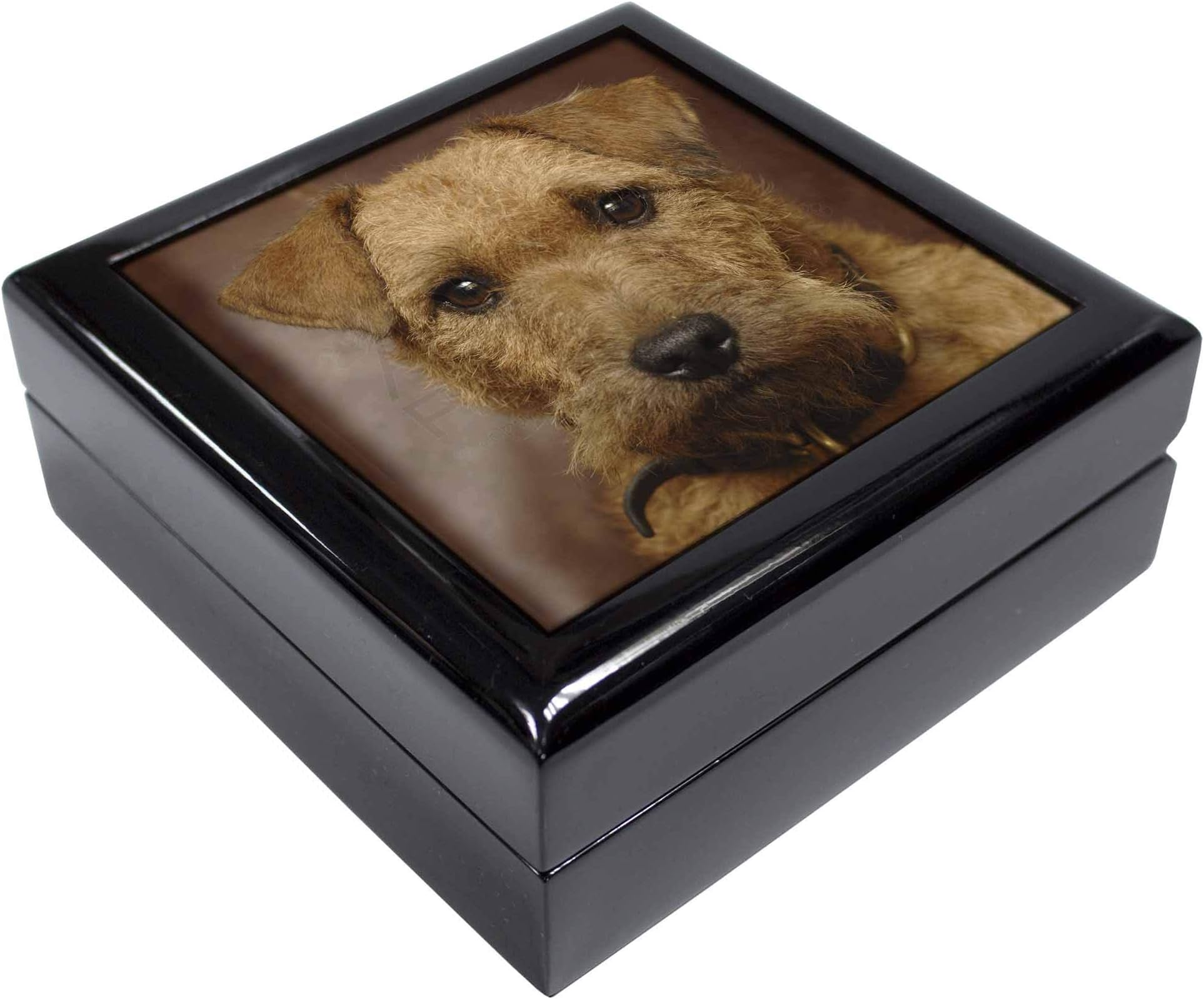 Advanta Group Lakeland Terrier Dog Keepsake/Jewellery Box