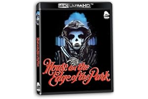 House On The Edge Of The Park