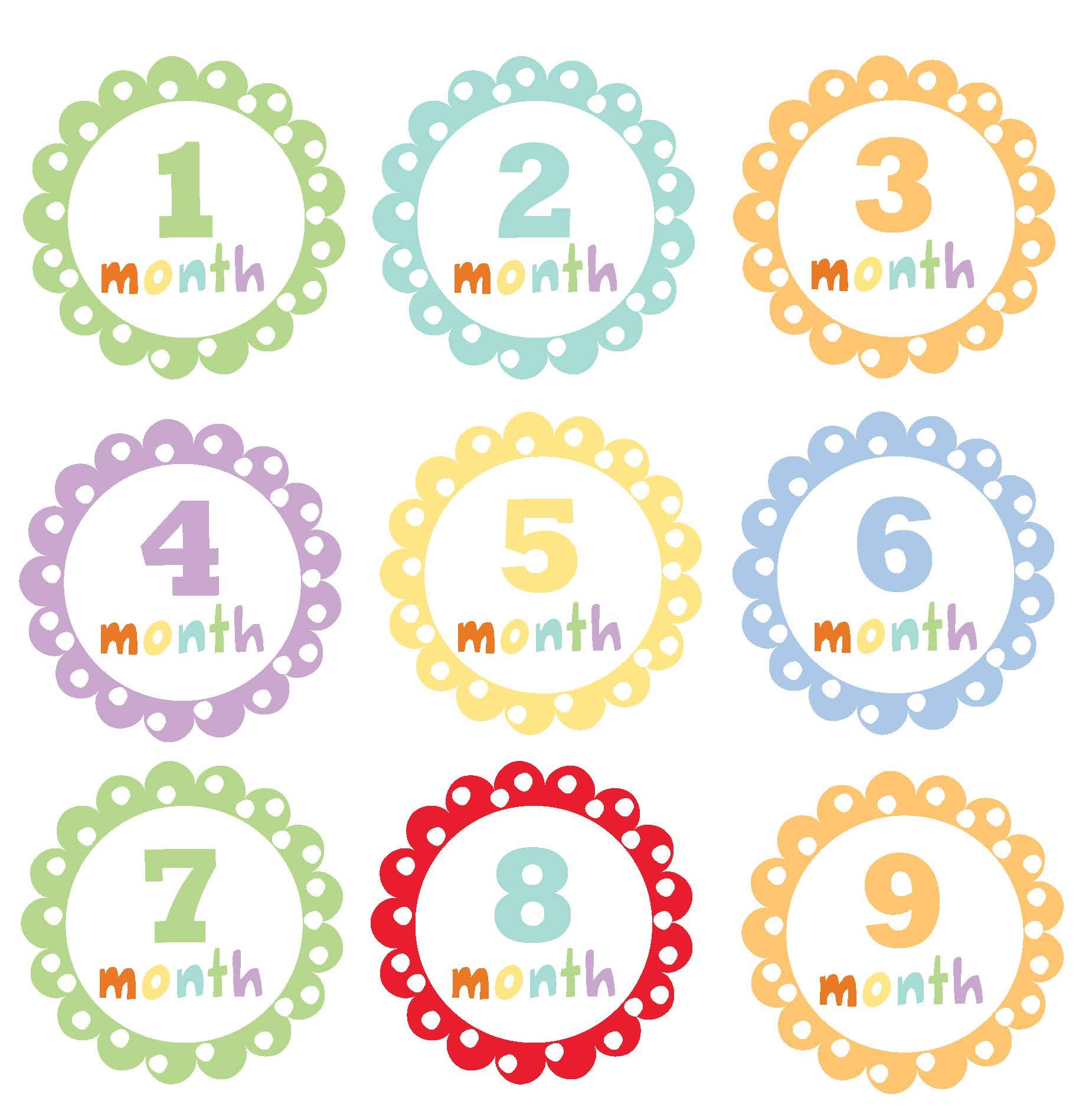 Baby's First Year: A Welcome Little One Keepsake, Memories Journal and Undated Monthly Calendar to Hang & Display (baby shower gifts for new parents) (Welcome Little One Baby Gift Collection)