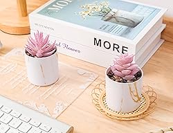 Der Rose Set of 2 Succulents Plants Artificial Mini