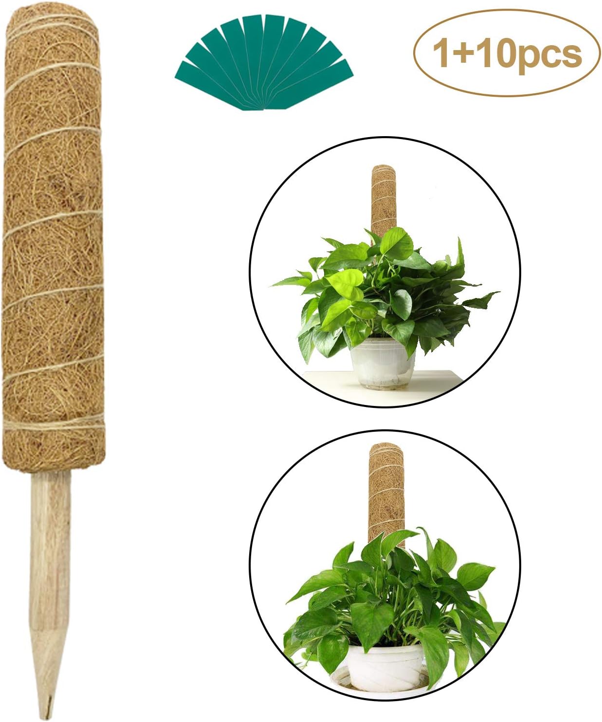 Iceyyyy 16 Inch Coir Totem Pole with Plant Labels, Coir Moss Stick Coir Moss Totem Pole for Plant Support Extension, Climbing Indoor Plants, Creeper