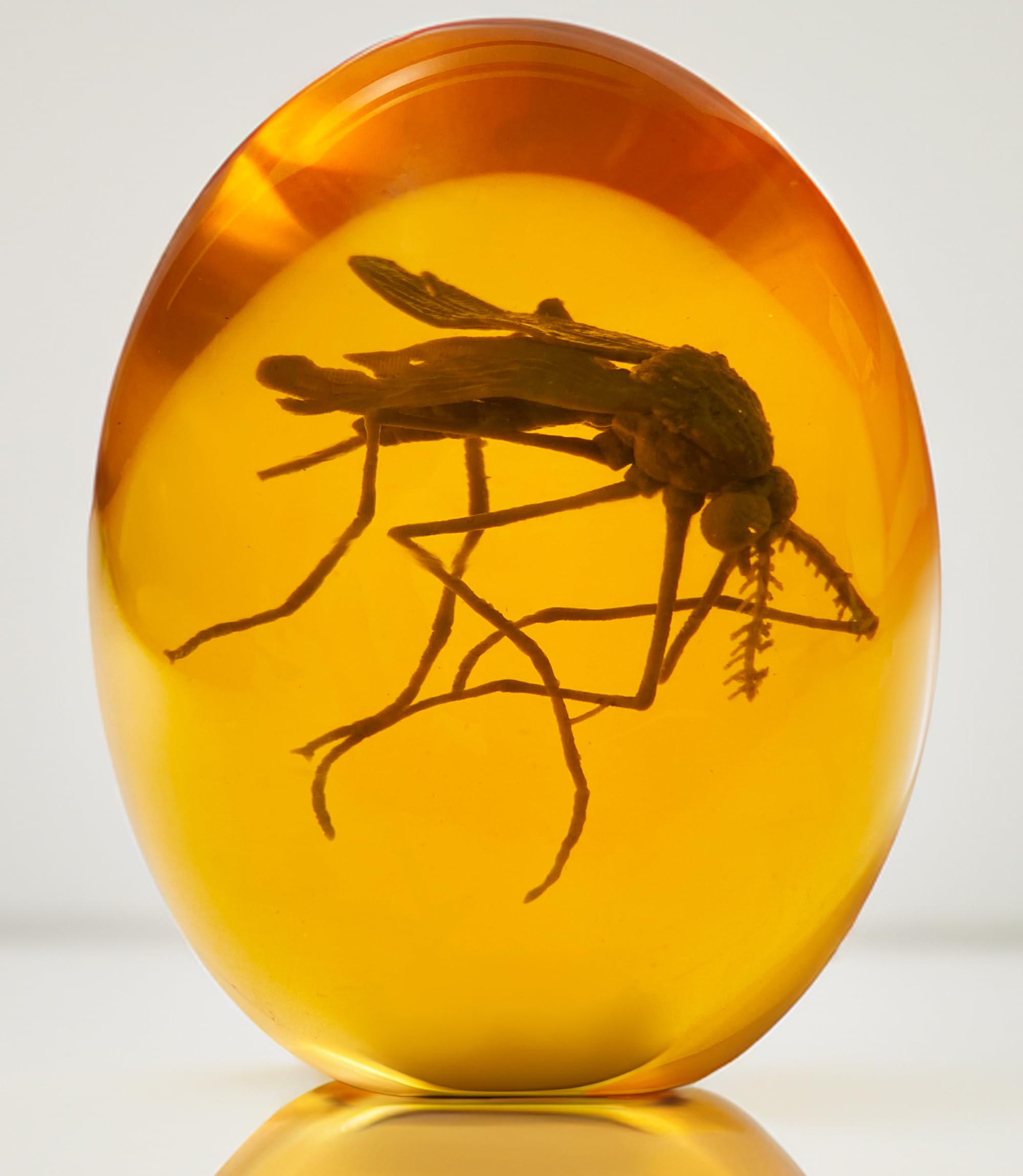 VEOJEIN 3D Jurassic Mosquito - Mosquito in Amber - Realistic Jurassic Collectible - Flat Bottom Resin Paperweight - Dinosaur DNA