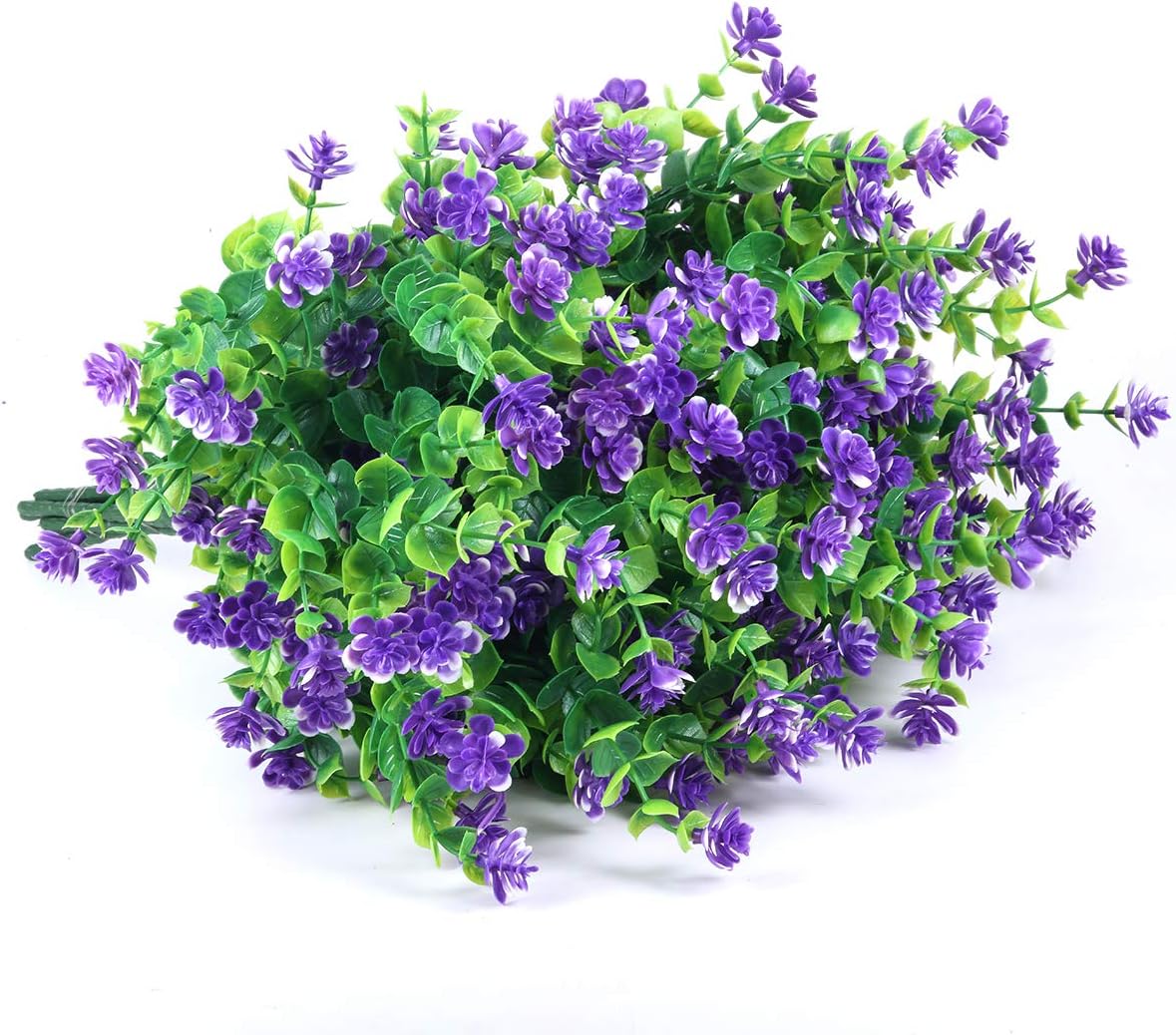 Best House Garden Box