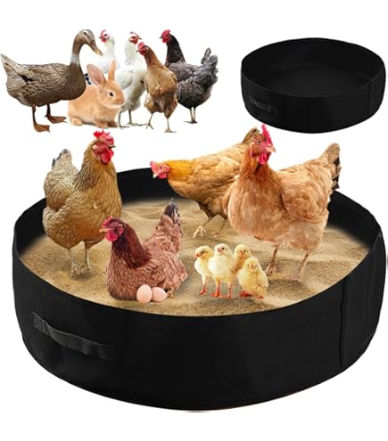 Bain De Poules, Récipient Pour Le Nettoyage Du Poulailler