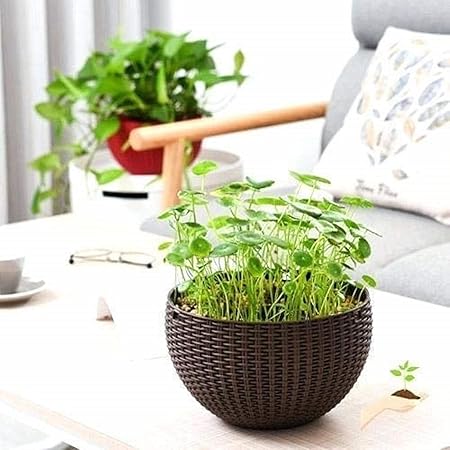 Inllex Hanging Planters Self Watering with Drain Holes and Chain,Hanging Plant Holder Flower Pots Indoor Outdoor