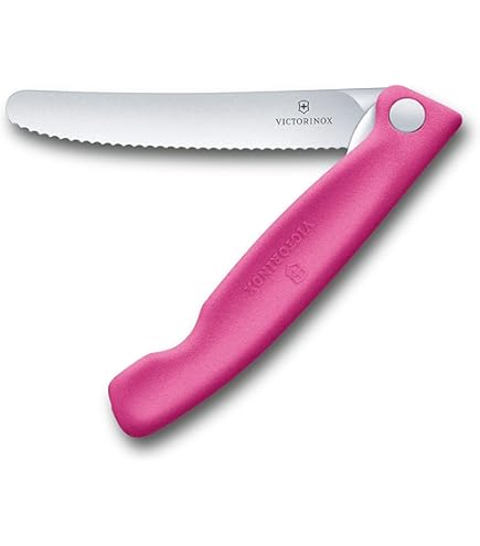 調理器具 NEIGHBORHOOD - NEIGHBORHOOD VICTRINOX /SS-FOLDING KNIFE Amazon.com: Victorinox Swiss Classic Foldable Paring Knife
