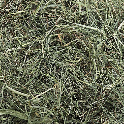 Small Pet Select 3rd Cutting "Super Soft" Timothy Hay Pet Food, 10 lb.