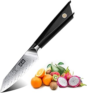 SHAN ZU Damastmesser Schälmesser Obstmesser scharf 9,3 cm Gemüsemesser Küchenmesser, AUS-10 Japanischem Damaststahl 67-Schicht Damaszener Stahl Twill Muster Fruchtmesser mit G10 Griff - GYO Series