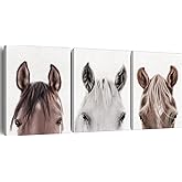 Horse Wall Art Decor Set of 3 Modern Animals Horse Canvas Painting Pictures Framed Horses Canvas Prints Artwork Ready to Hang for Home Office Decoration (12x15 Inch)