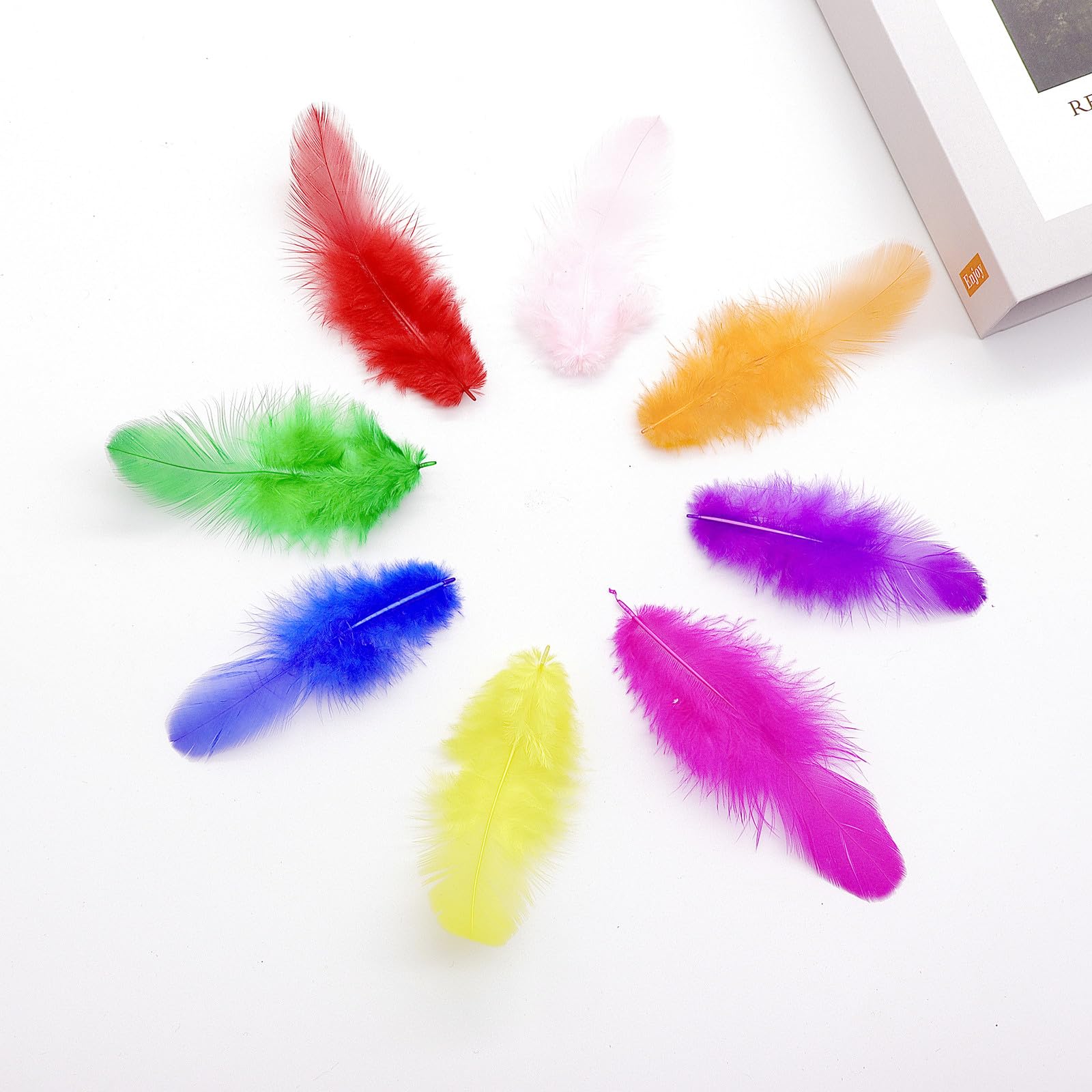 800Pcs Colorful Craft Rooster Feathers 3-5-inch Bulk Feathers for Crafting Kindergarten DIY Crafts, Wedding, Family Party Decorations, Dream Catcher Supplies, Natural Feathers