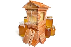 Flow Hive Style Beekeeping Starter Kit, Wooden Beehive with 4 Automatic Honey Frames & 6 Brood Frames, Clear Observation Wind