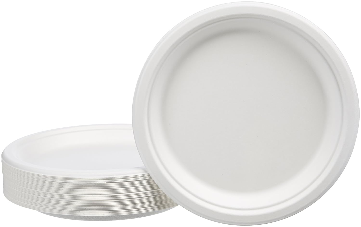 Basics Compostable Plates, 9-Inch, Pack of 500: Industrial & Scientific