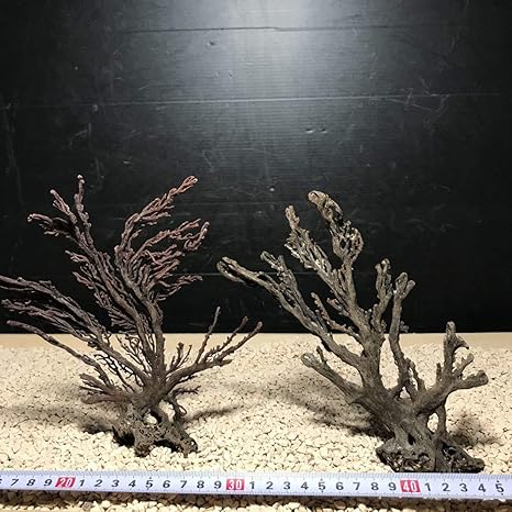Amazon Co Jp Sea Tree煮沸消毒済みウミウチワセット流木 水槽 アクアリウム テラリウム インテリア Ada サンゴ 置物 ホビー 通販