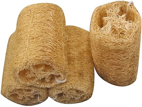 Amazon Gannbarou 多機能 天然ヘチマ 5点セット全長 10cm ヘチマスポンジ ヘチマたわし 食器ブラシ 皿洗い 食器洗い キッチン用品 手を傷つけない 油汚れがつかない 柔らかい 原色 ひも付 10cm キッチンスポンジ オンライン通販