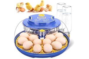 XIEJIUTIANXRG Egg incubators for Hatching Eggs, Automatic Egg Turning 12-24 Poultry Incubator with Temperature Control,Automatic Water Adding,℉ Display,360° View for Hatching Chickens, Duck,Quail,Goose Eggs (M18H)
