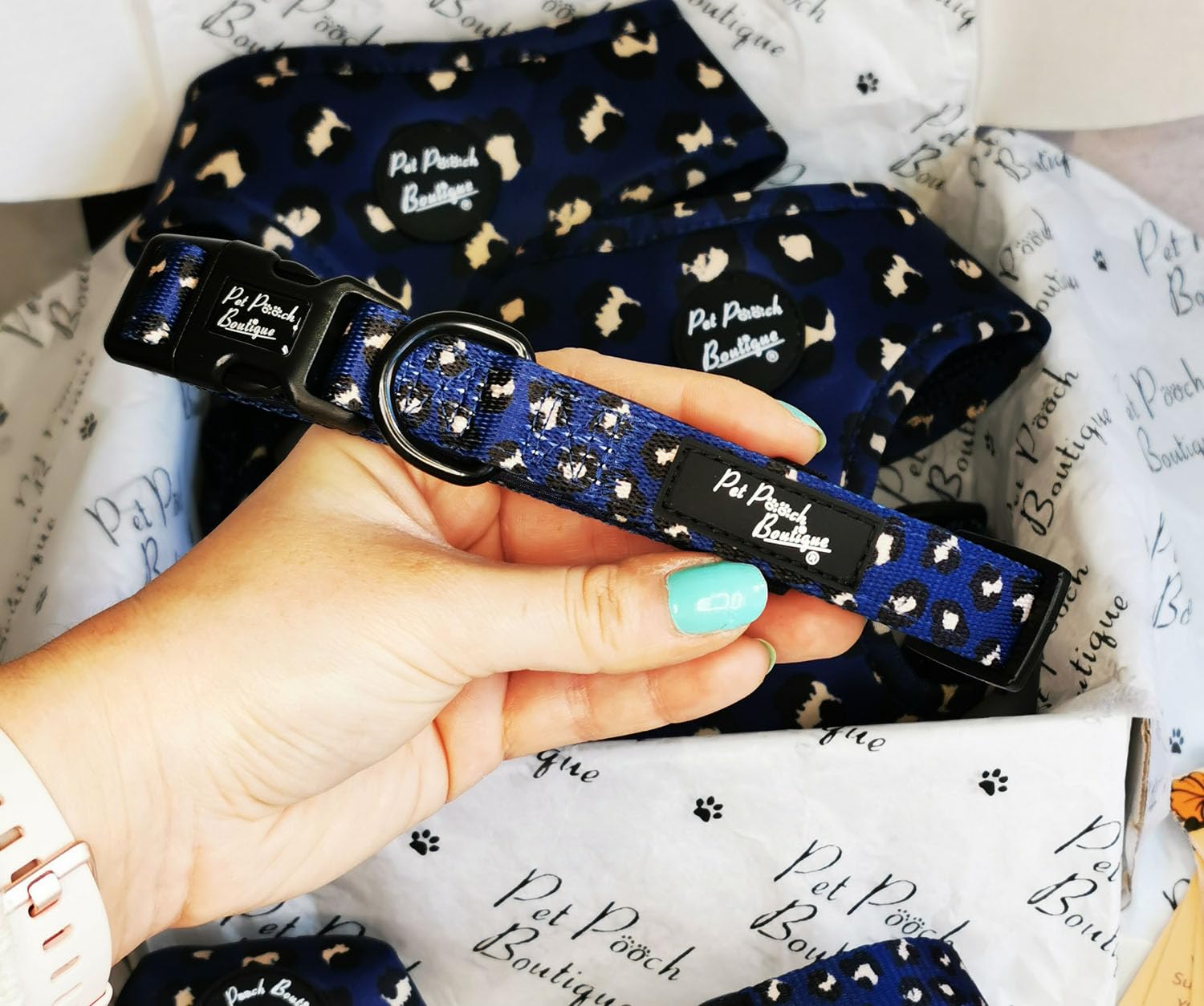 Royal Blue Leopard Dog Collar XS