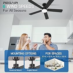 Ceiling Fan With Light 52-Inch, Remote Control