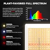 Mars Hydro Grow Tent Kit 2x4ft TSL2000 LED Light 300W System view 4