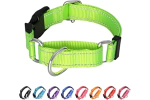 BXPAW Martingale Collar for Dogs,Reflective Martingale Dog Collars with Quick Release Buckle,Adjustable Nylon No Pull Dog Collar for Walking Training (Rosered, Small)
