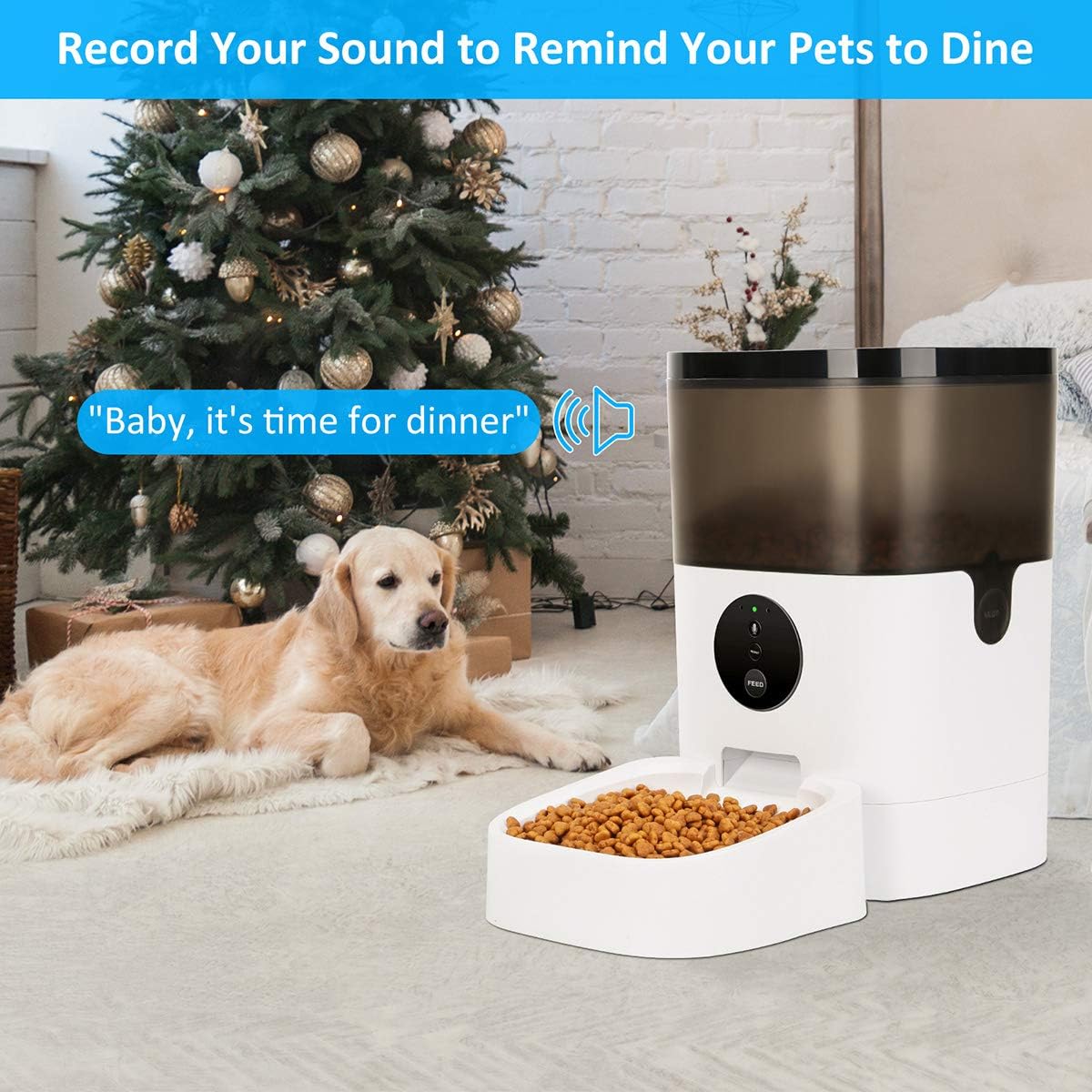 Kitchen & Dining : TTPet Automatic Cat Feeder with App Control, Timed Dog Food Dispenser, 4L Capacity, Bluetooth Enabled, Portion Control, Voice Recording, Timer Programmable up to 8 Meals a Day : 