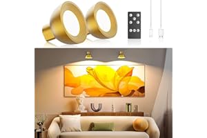 JOFIOS Picture Light Battery Operated, Gold Picture Light with Remote Control and Adjustable Brightness Color Temperature for Highlighting Paintings, Photographs or Other Wall Art, 2 Pack