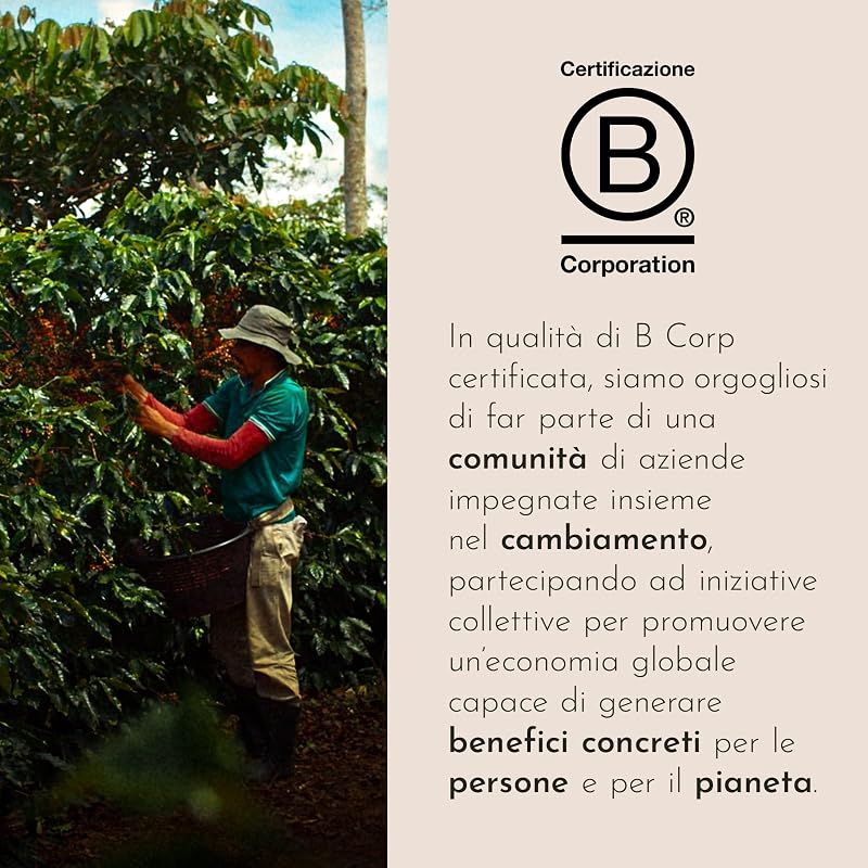 , Caffè in Grani da Macinare CLASSICO, 1 Barattolo da 500g