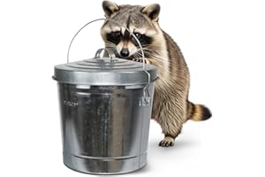 Plexon 6 Gallon Small Metal Trash Can with Lid Outdoor Locking Galvanized Metal Garbage Can with Lid for Poultry Feed Bird Seed Storage Ash Galvanized Bucket