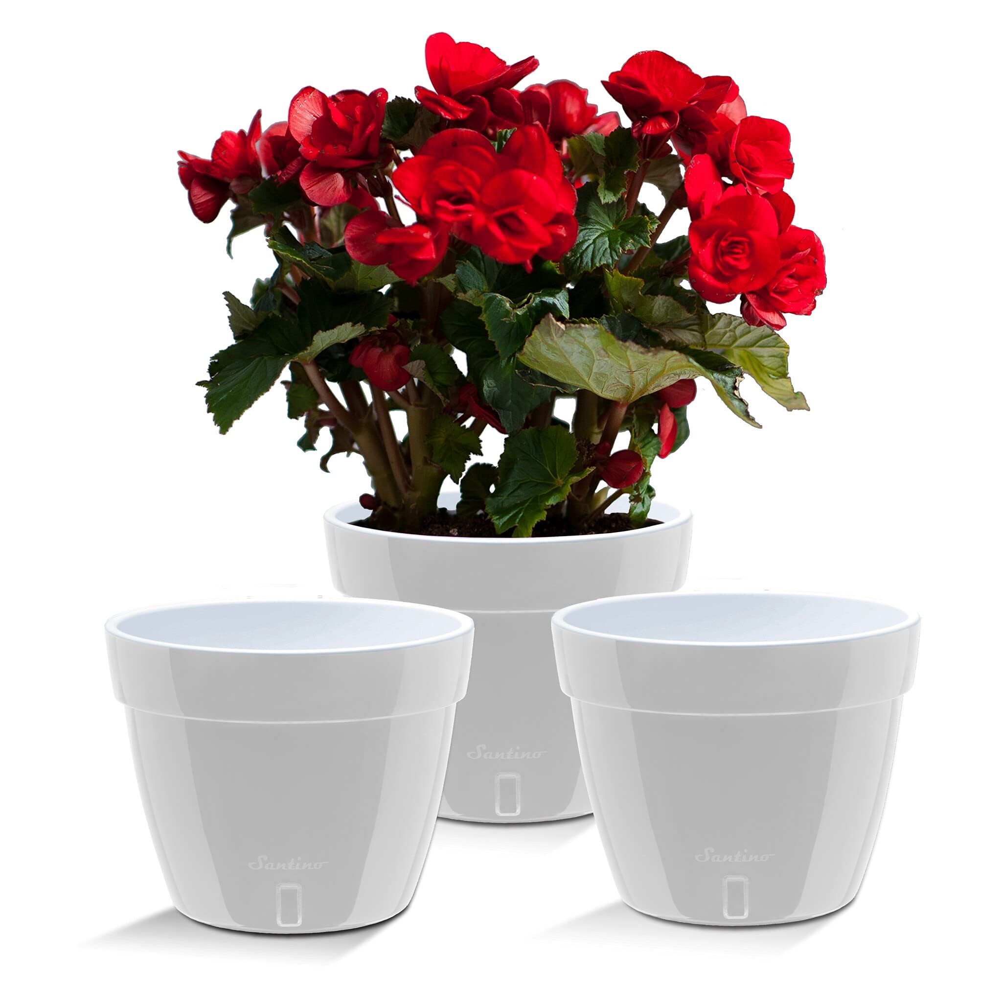 Santino ASTI 7.9 Inch Self Watering Planters (SET OF 3) for Indoor Plants - Modern Flower Pots w/Water Level Indicator for All Plants, African Violets and Dahlias - (Ø 7.9 Inch, 4 L, GREY/WHITE)