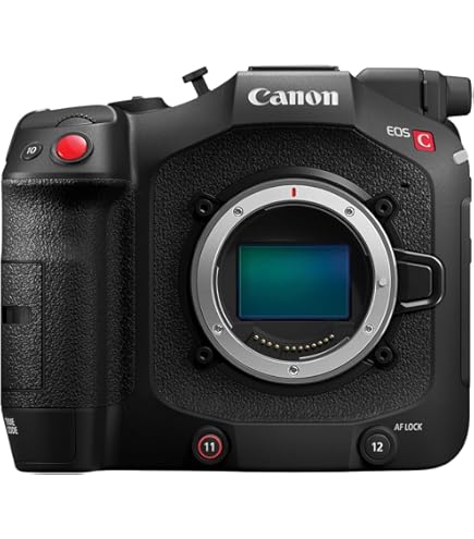 Amazon.com : Canon EOS C80 6K Full-Frame Cinema Camera (Canon RF