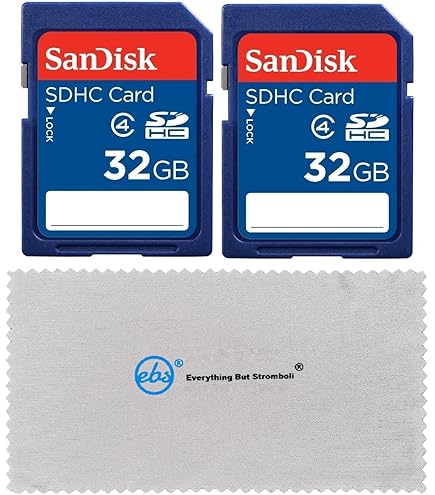メモリー CMG32GX4M4D3600C18 Amazon.com: 2 Pack SanDisk 16 GB Class 4 SDHC Flash Memory Card
