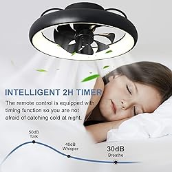 DLLT 20'' 360-Degree Rotation Ceiling Fan with