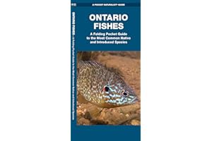 Ontario Fishes: A Folding Pocket Guide to the Most Common Native and Introduced Species