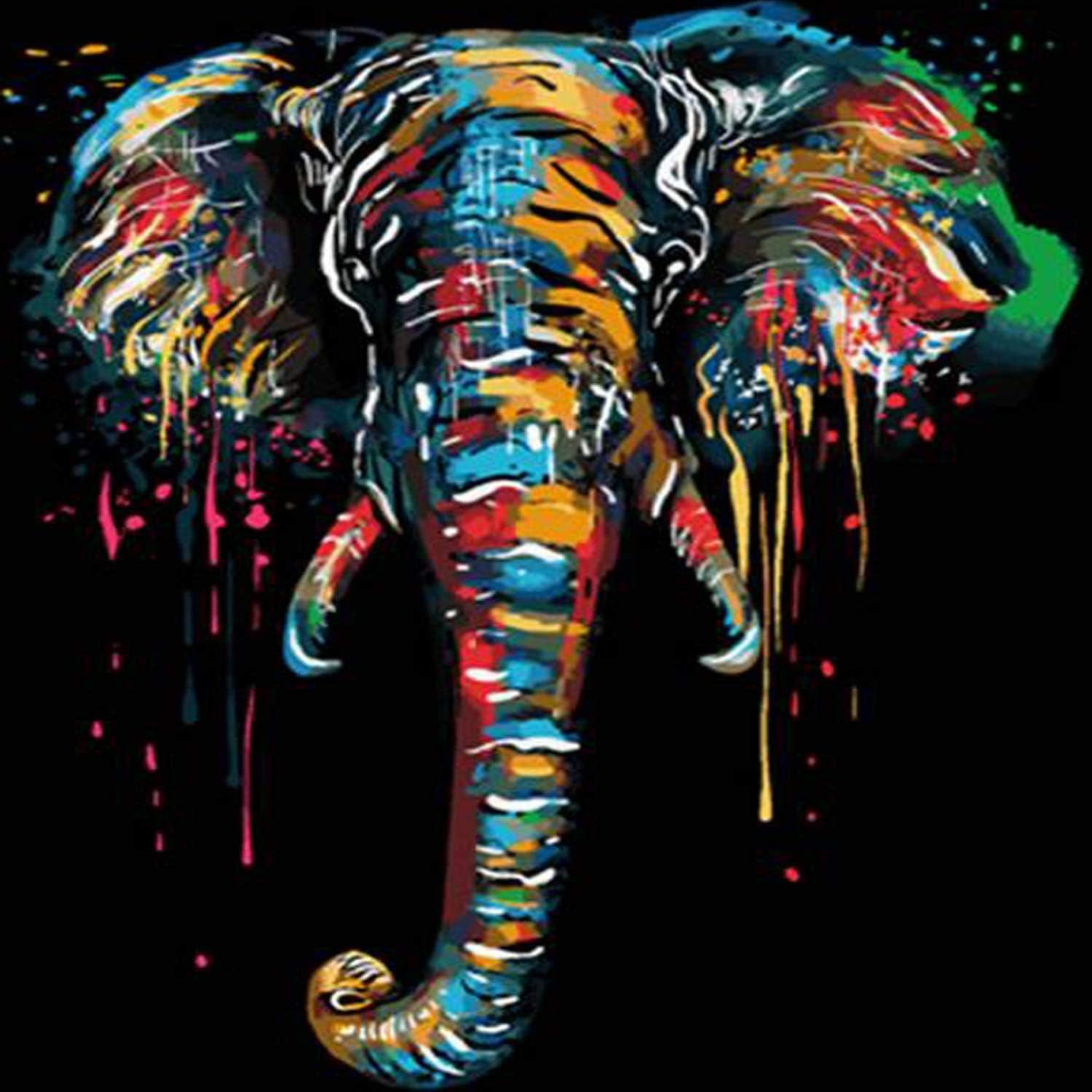 DIYASY Paint by Numbers Kits,DIY Oil Painting Kit Colorful Elephant Canvas Painting for Adults Kids Beginner Home Decoration without Wooden Frames (16x20in)