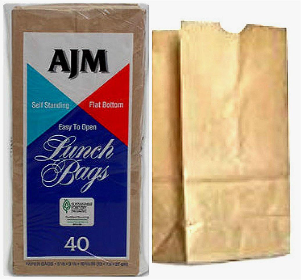 6 Packs (240 Counts) AJM Brown Paper Lunch Bag Recyclable Biodegradable Baby