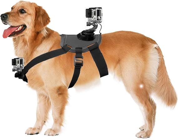 dog mounts