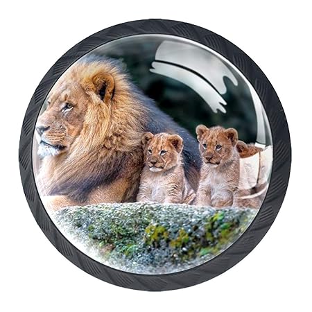 Kindergarten Knöpfe schön Set von 4 schönen farbig gestalteten Schrank