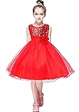 YMING Girls Special Occasion Dress Party Tutu Dress