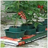 Garden Mile 3pc Tomato Plant Pots Grow Bags for Vegetables & Herbs view 7