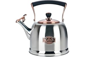 LAZNEYRU Tea Kettle Stainless Steel Teapot, Stainless Steel Teakettle for Stove Top with Heat Proof Ergonomic Handle 3.0 Quart