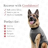 BellyGuard Dog Surgery Recovery Suit for Post-Op Care view 4
