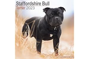 Staffordshire Bull Terrier Calendar - Dog Breed Calendars - 2022 - 2023 Wall calendars - 16 Month by Avonside